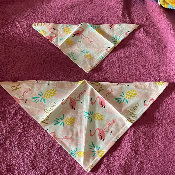 Dog accessories Each $8 - Picture 4 of 5